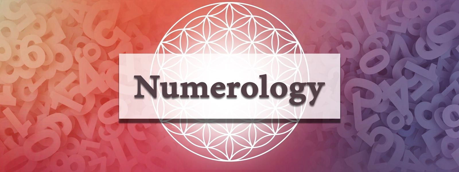 Numerology and Panchvastu